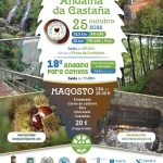 andaina-da-castanha-parada-de-sil_2025